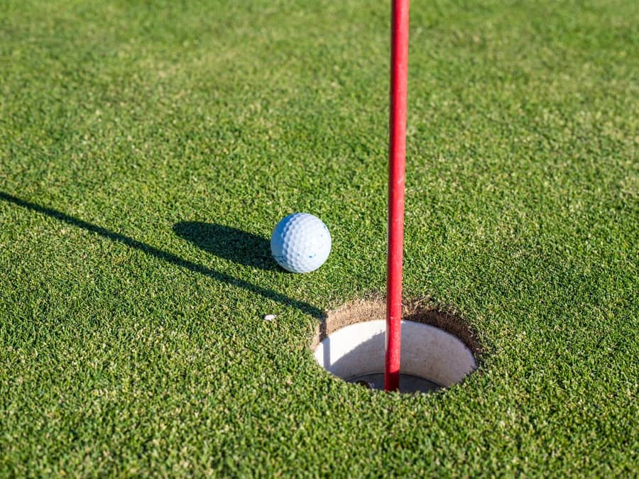 Home putting green Home putting green, artificial grass in the UK